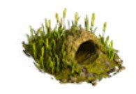 Нора без фона