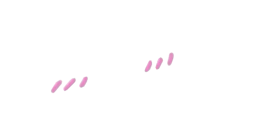 Розовые полосочки на щеках