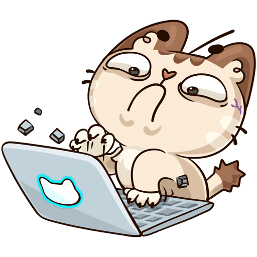 Стикеры ВК котик