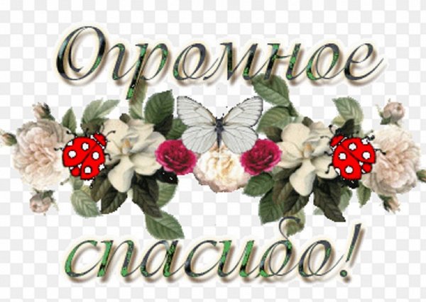 Красивая надпись спасибо