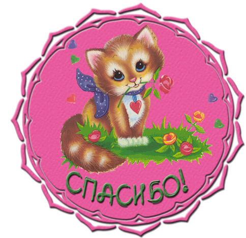 Благодарность котик