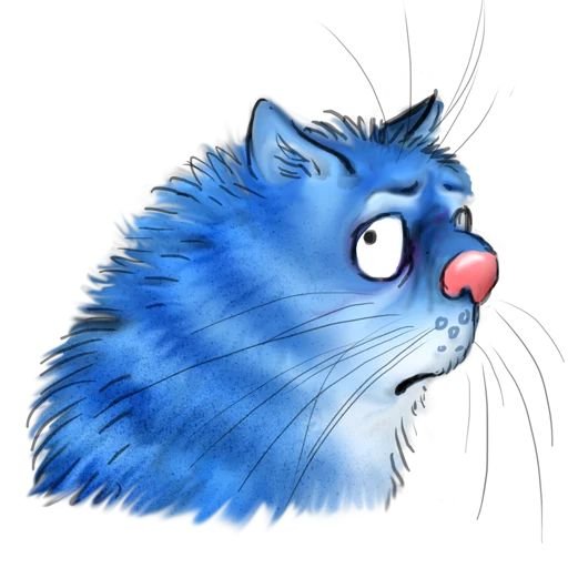 Синий кот