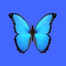 Эмодзи бабочка