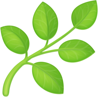 Зеленый лист эмодзи