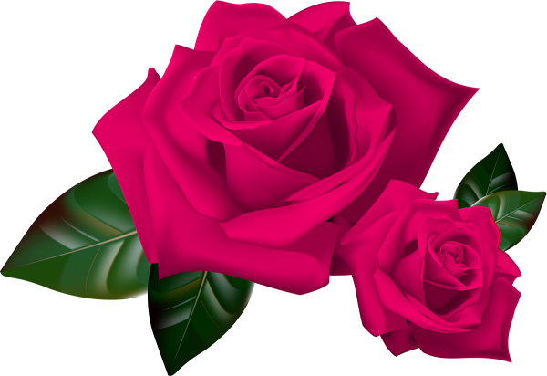 Анимированные Стикеры цветы