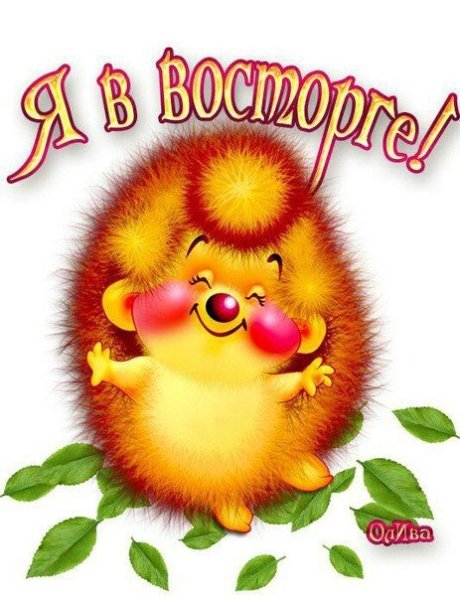 Наклейки с добрым утром