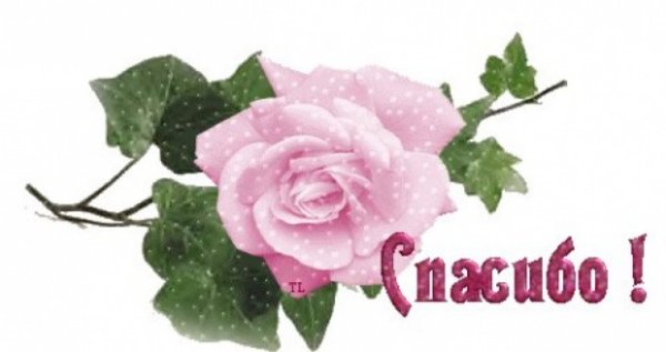 Открытка спасибо с цветами