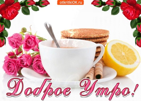 Добрый день на прозрачном фоне