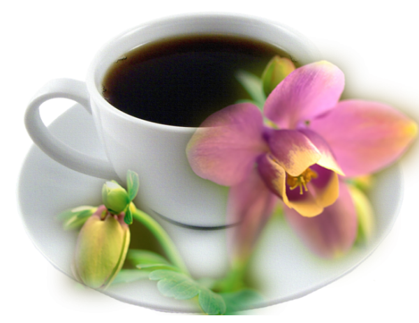 Пожелания с добрым утром на прозрачном фоне