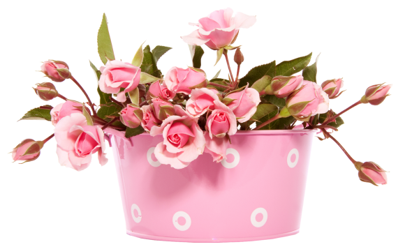 Нежный букет цветов на прозрачном фоне