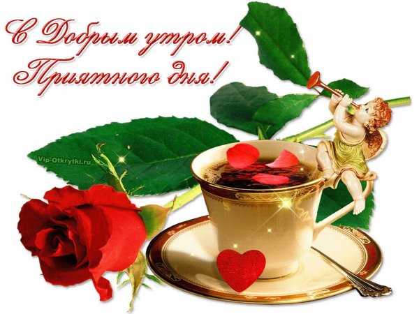 Приятного утра и доброго дня
