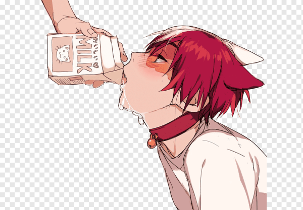 Тодороки шото 18