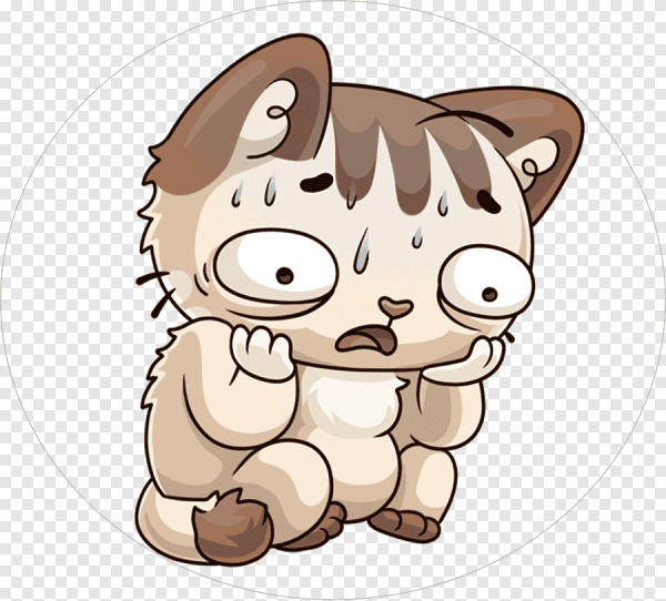 Стикеры ВК котик