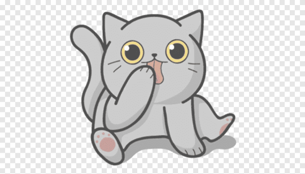 Стикеры котики для ватсапа