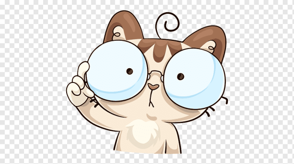 Стикеры ВК котик