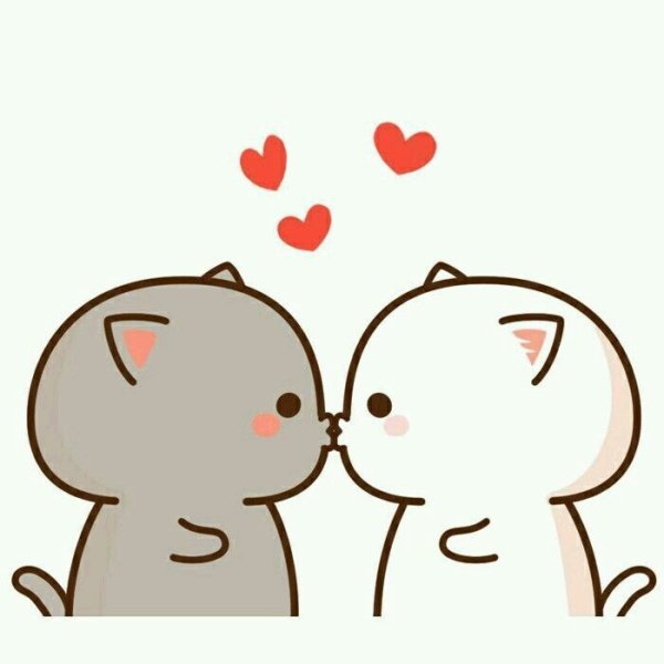 Парные футболки пицца