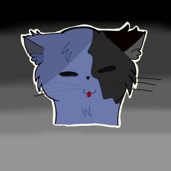 Кошка Лана на прозрачном фоне