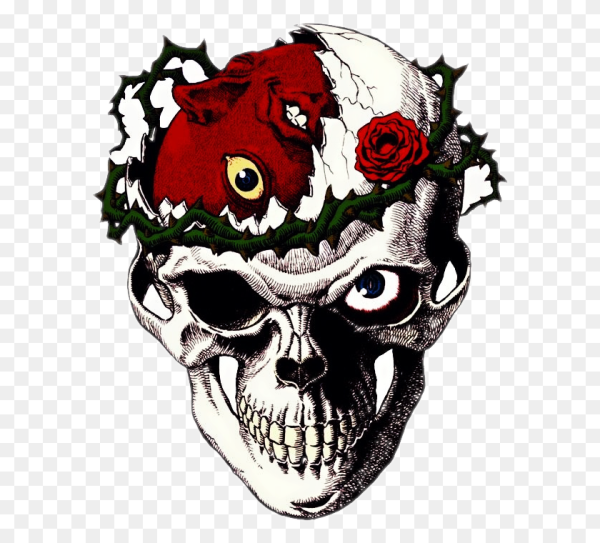 Тату аниме черепа