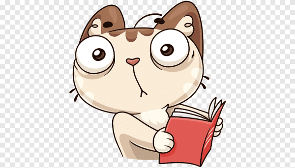 Стикеры ВК котик