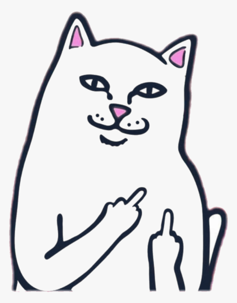 Кот показывает средний палец