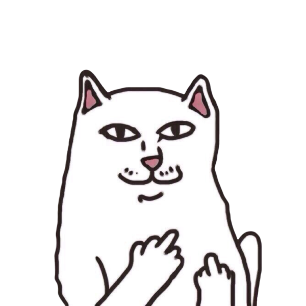 Мемы кот с факом