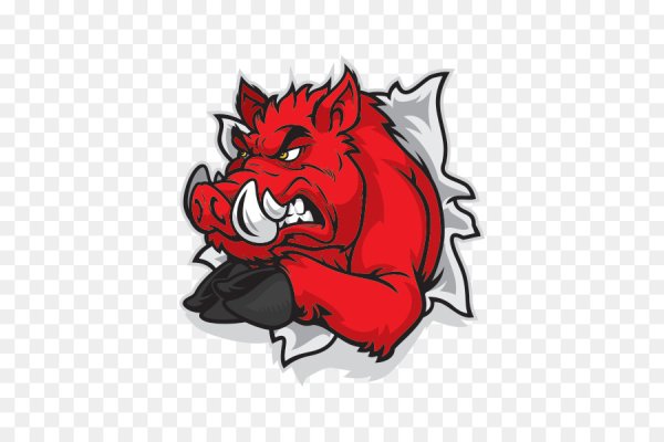 Wild Boars Спартак Москва