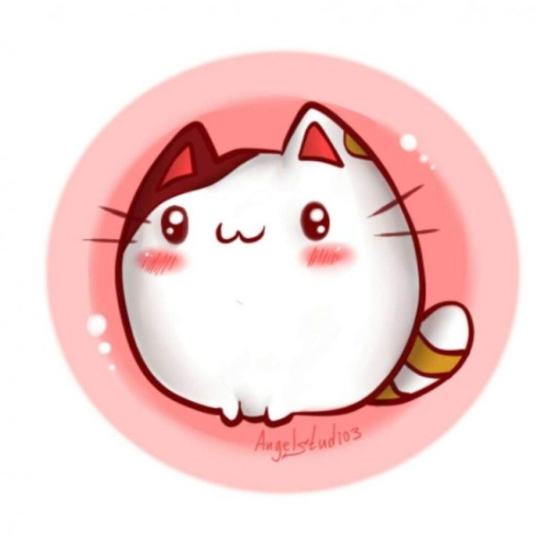 Стикер "котик"