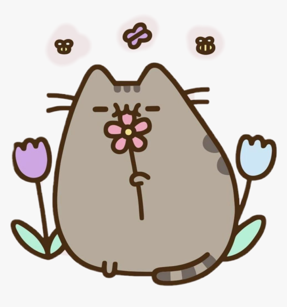 Пушин зэ Кэт