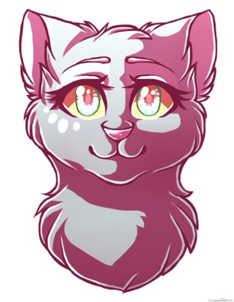 Коты Воители арты klaracrystalpaws