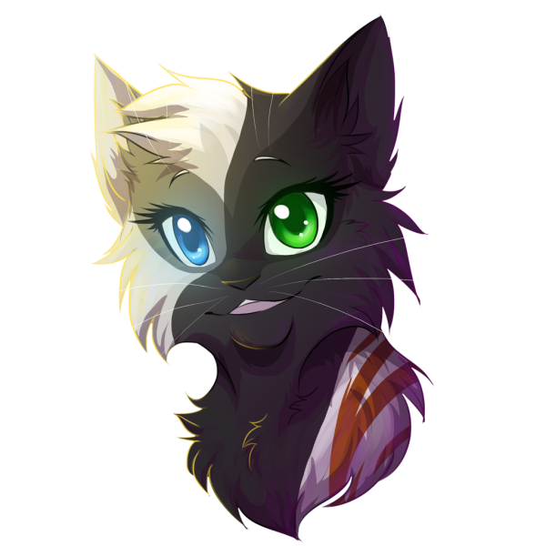 Коты Воители River Spirit воительница