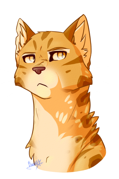 Коты Воители пятнистая звезда