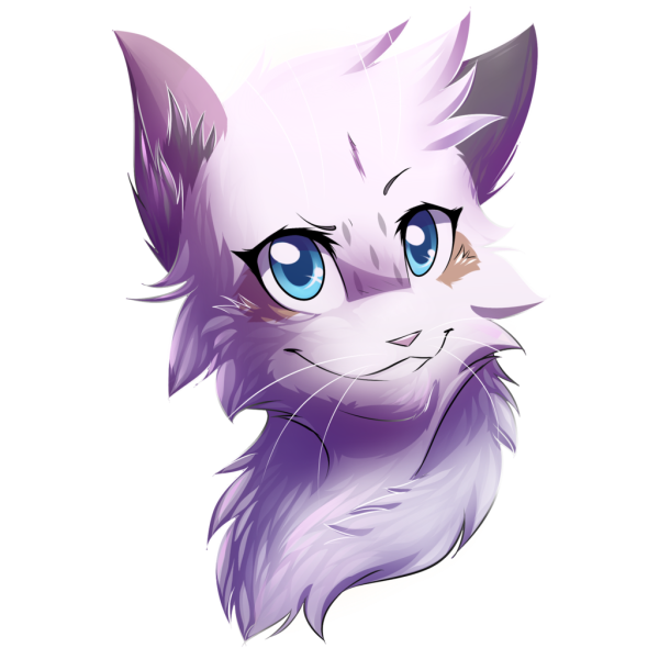 Коты Воители Искра кв