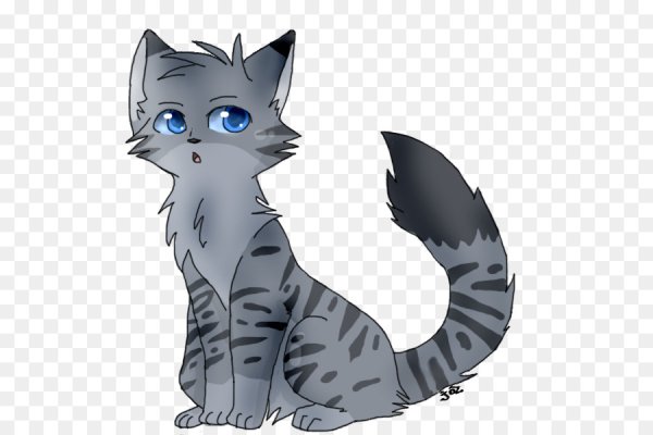 Коты Воители аниме Пепелица