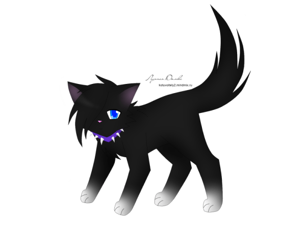 Коты Воители срисовать Бич