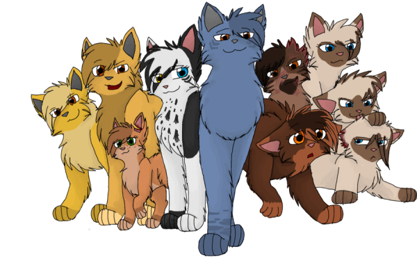 Коты Воители группа