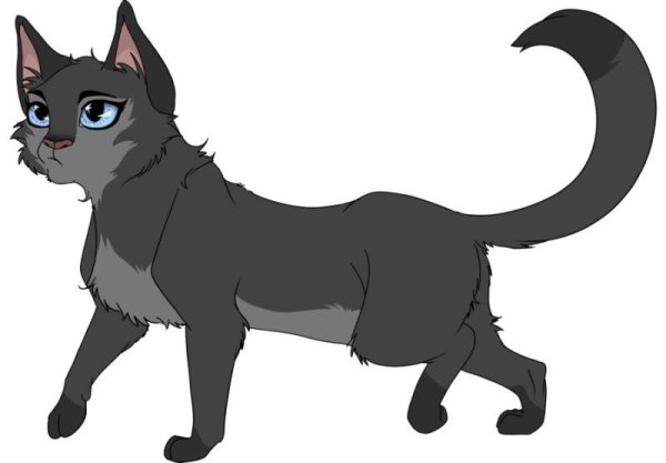 Коты Воители Пепелюшка