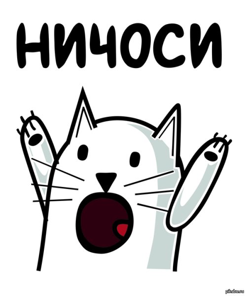 Ничоси кот