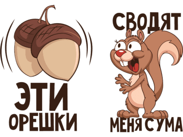 Приколы про орехи