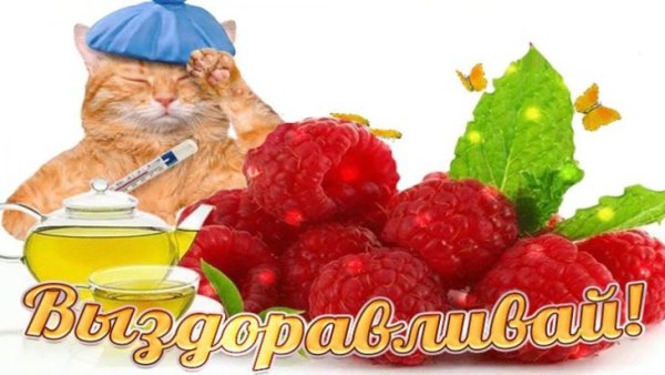 Пожелания выздоровления