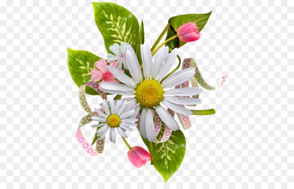 Стикеры цветы на прозрачном фоне красивые