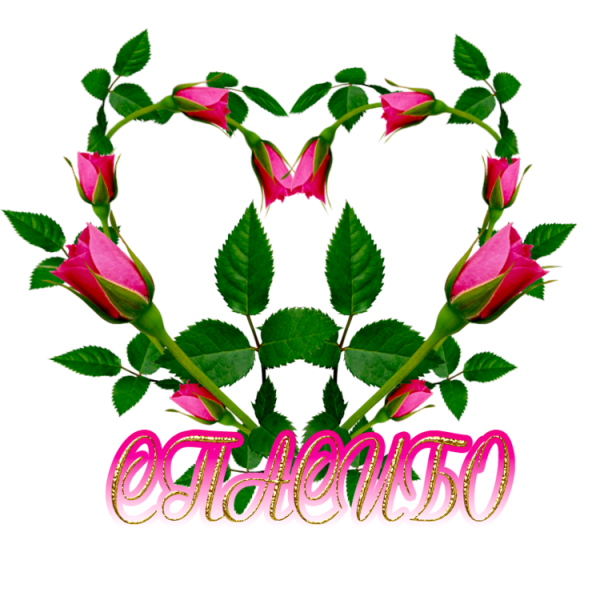 Прикольные фото для ватсапа спасибо