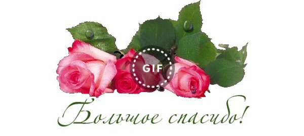 Стикеры спасибо за поздравления