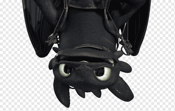 Ночная фурия на белом фоне