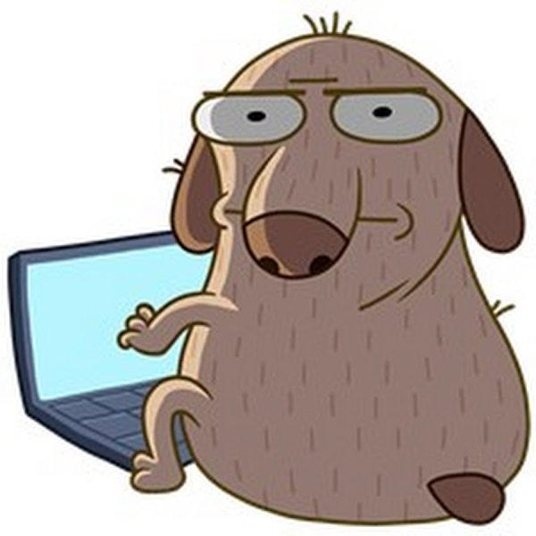 Стикер Дигги плачет