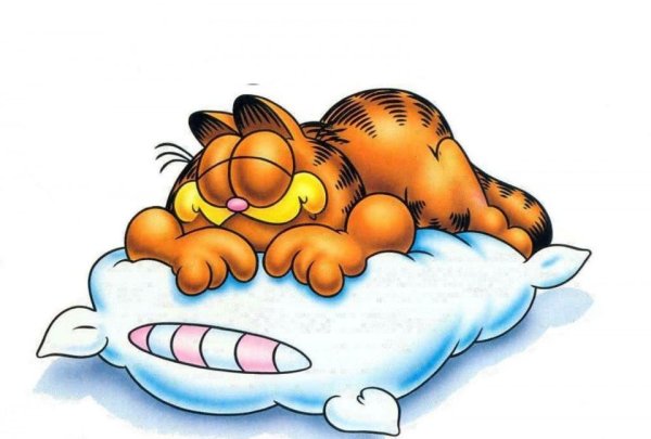 Мультяшка спит