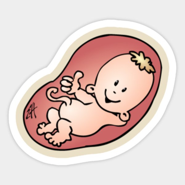 Стикер беременная
