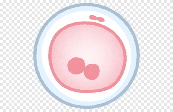 Беременность иллюстрации