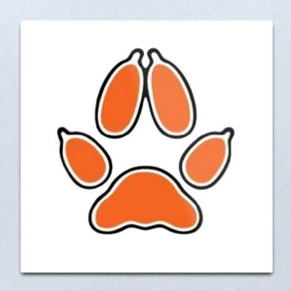 Лисья лапа отпечаток Лисья Нора