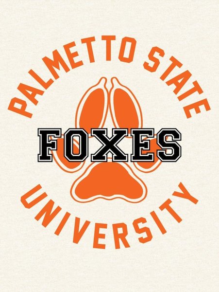 Palmetto Foxes логотип