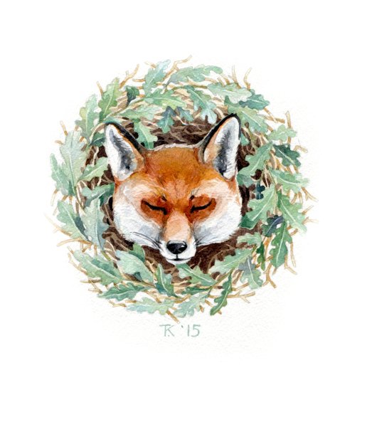 Лисья Нора Нора Скавич